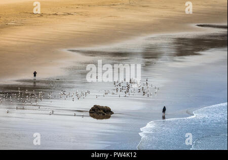 Paio di scattare fotografie lungo la spiaggia a mezzaluna vicino a Cannon Beach, Oregon, Stati Uniti d'America. Foto Stock