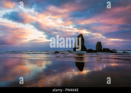 Post-incandescenza sul pagliaio aghi vicino a Cannon Beach, Oregon, Stati Uniti d'America. Foto Stock