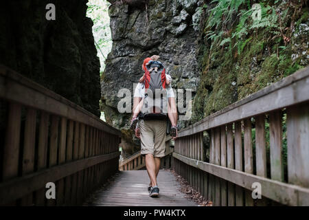 Vista posteriore del padre che porta la figlia mentre passeggiate sul lungomare tra montagne Foto Stock