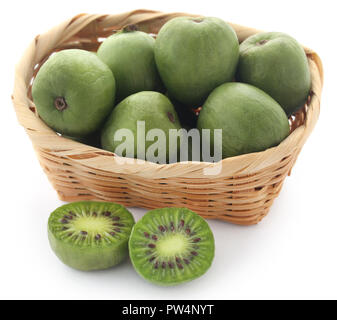 Actinidia arguta conosciuta come baby kiwi su sfondo bianco Foto Stock