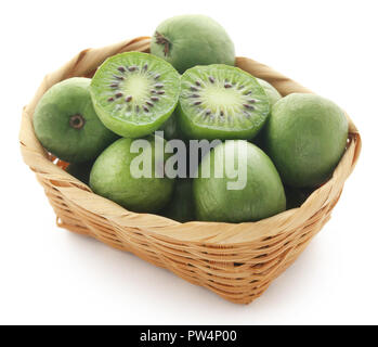 Actinidia arguta conosciuta come baby kiwi su sfondo bianco Foto Stock