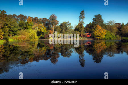 Parco Brynmill riflessioni Foto Stock