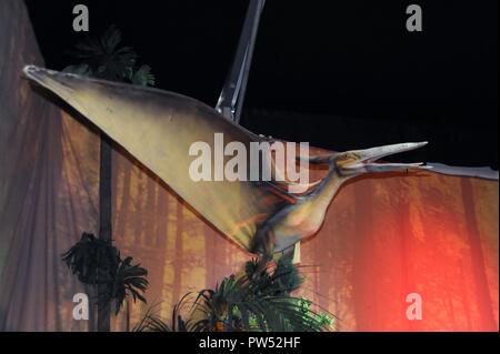 Milano (Italia), l'esposizione di animali preistorici riprodotti a grandezza piena; Pteranodon (Pteranodon longiceps) Foto Stock