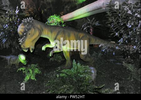 Milano (Italia), l'esposizione di animali preistorici riprodotti a grandezza piena; Pachycephalosaurus (Pachycephalosaurus wyomingensis) Foto Stock