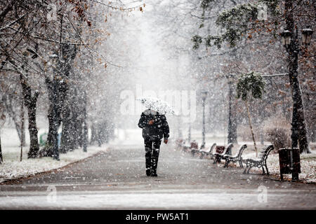 Un vecchio uomo passeggiate nel parco con ombrello durante la nevicata. Foto Stock