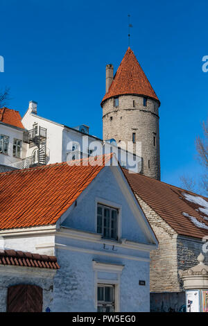 Stoltingi Tower è una delle torri della città vecchia parete. Tallinn. Estonia Foto Stock