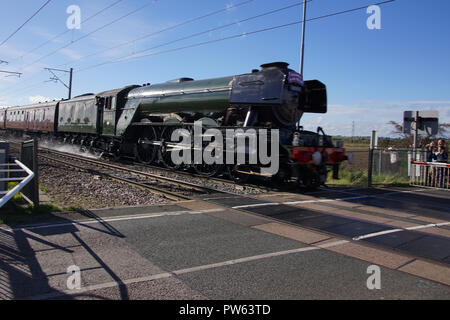 Linea di appassionati il percorso come Flying Scotsman velocità lungo la costa est della linea di posta durante un escursione prevista come un memoriale di Alan Pegler, l uomo che ha salvato la locomotiva da rottami di cantiere nel 1963. Qui illustrato il rallentamento dopo la sezione a Sutton Bank dove ha fissato il record di velocità su terra a 100mph nel 1934 e dove durante il memoriale eseguire Alan Peglar le ceneri sono stati impegnati per il focolare. Foto Stock