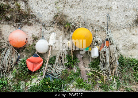 Boe e funi pendenti da filo di pollo attaccato ad un chalk cliff. Foto Stock