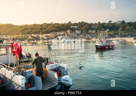 Un pescatore lavorando sulla sua barca da pesca nel porto di Lyme Cobb nella città costiera di Lyme Regis nel Dorset. Foto Stock