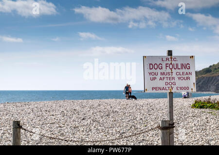 Un segnale di avvertimento circa il cane incrostazioni sulla spiaggia nella cittadina costiera di Lyme Regis nel Dorset. Foto Stock