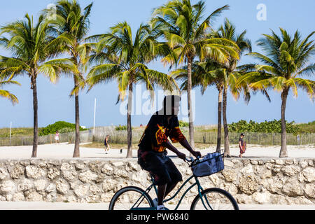 Miami Beach Florida, Lummus Park, silhouette, uomo uomini maschio adulti, bicicletta, bicicletta, equitazione, ciclismo, rider, bicicletta, palme, sabbia, parete di corallo, oolite, sp Foto Stock