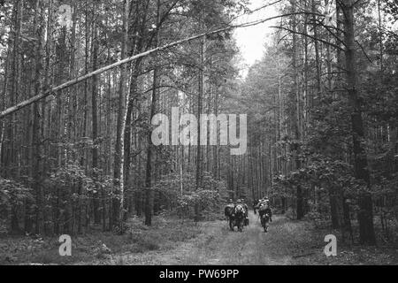 Re-enactors vestito come tedesco soldati di fanteria nella guerra mondiale II marciando a piedi lungo la strada forestale nel giorno d'estate. Foto in bianco e nero e a colori. Foto Stock