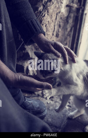 Effetto retrò sbiadito e tonica immagine di un uomo che alimenta un gatto con la sua mano. Foto Stock