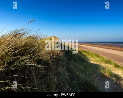 Le dune di sabbia del Holme dune riserva naturale nazionale sulla Costa North Norfolk, Inghilterra, Regno Unito Foto Stock