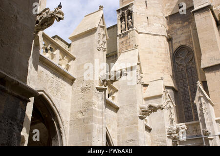 Dettaglio della Cattedrale di Saint-Just-et-Saint-Pasteur in Narbonne Foto Stock