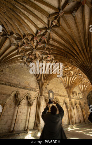 Regno Unito, Kent, Canterbury, Cattedrale di Canterbury, chiostro grande, visitatore tenendo fotografia di nervatura soffitto a volta Foto Stock