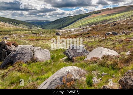 Glendasan Valley, Brockagh, Co. Wicklow, Irlanda Foto Stock
