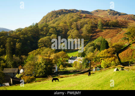 Guardando verso il basso sopra il villaggio di Seatoller, Borrowdale, Cumbria, England, Regno Unito Foto Stock