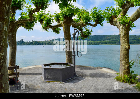 Isola di Mainau vista attraverso gli alberi sul lago di Costanza, Bodensee, fontana di fronte al lago di cielo blu e isola Foto Stock
