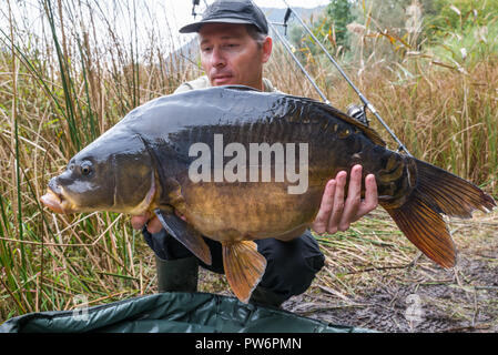 Le avventure di pesca, la pesca alla carpa. Specchio carpa (Cyprinus carpio), pesci di acqua dolce. Il pescatore con un grande carpa pesca trofeo. Focus sui pesci Foto Stock
