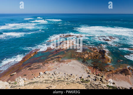 Vista della Australian colonia di leoni di mare dalle scogliere al punto Labatt SA Australia solo allevamento continentale colonia di leoni marini australiani Foto Stock