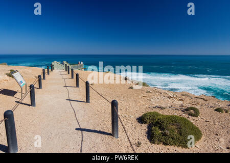 Passerella per piattaforma di osservazione sulle scogliere al punto Labatt SA Australia solo allevamento continentale colonia di leoni marini australiani Foto Stock