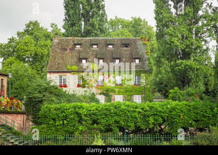 Bella ivy e coperto di vite home in Francia Foto Stock