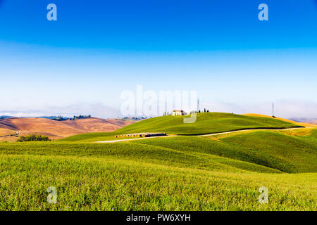 Colline e campi in estate nelle Crete Senesi (Crete Senesi), Toscana, Italia Foto Stock