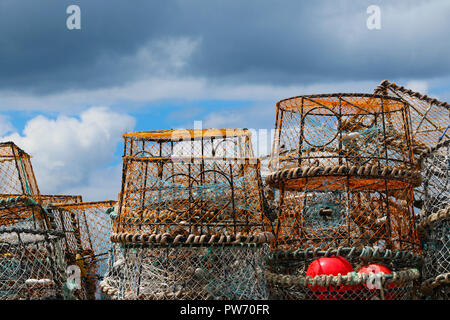 Un mucchio di aragosta / pentole di granchio sulla banchina a Newquay Harbour, Cornwall, England, Regno Unito Foto Stock