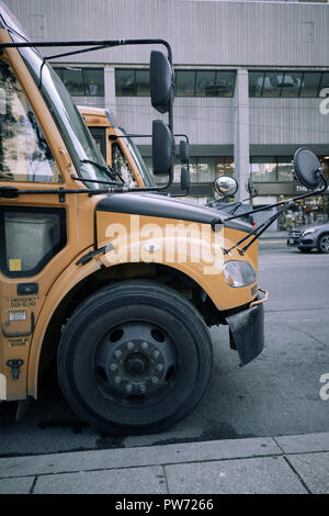 Studioso autobus gialli Foto Stock