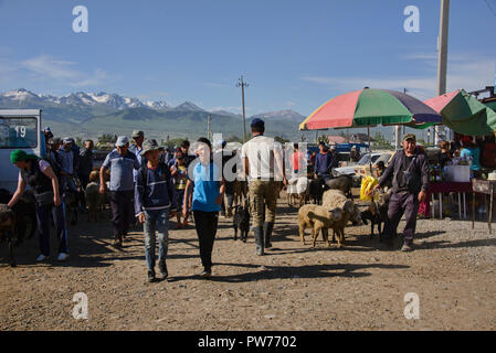 Mal Bazaar (мал базары)/ mercato animale bazaar a Karakol, Kirghizistan Foto Stock