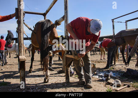 Mal Bazaar (мал базары)/ mercato animale bazaar a Karakol, Kirghizistan Foto Stock