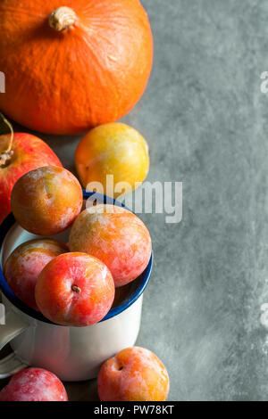 Multicolore colorato appena raccolto le prugne Mirabelles rosso giallo verde nella tazza di smalto. Mele zucca su nero grigio pietra dello sfondo. Ringraziamento autu Foto Stock