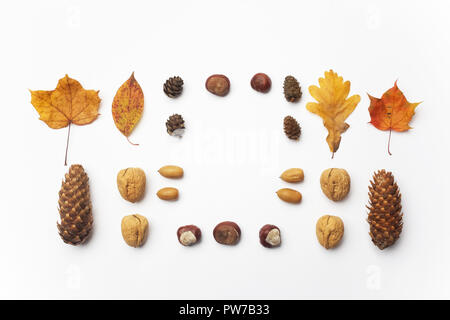 Composizione di autunno, cornice fatta di pigne, ghiande e castagne. Lay piatto. Foto Stock