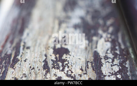 La texture del dipinto shabby panche di legno fatto di schede, close up, grunge background Foto Stock