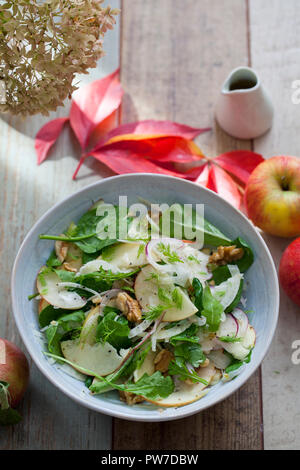 Apple e il finocchio insalata con noci e verdi Foto Stock