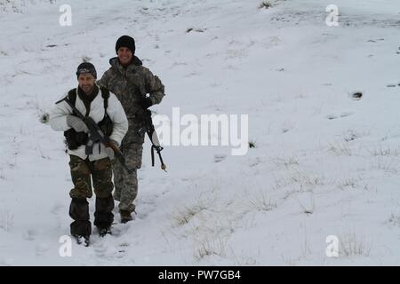 Un Co. 1-157th Fanteria - Mountain, Colorado Esercito Nazionale soldato di guardia e uno sloveno Forze Armate soldato patrol durante la giornata finale del Triglav Star III la formazione sul campo di esercizio. La multinazionale evento di formazione continua a sett. 23rd. Foto Stock