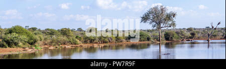 Vista panoramica del lago tramonto nel Parco Nazionale di Kruger, Sud Africa Foto Stock