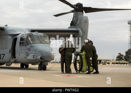 Stati Uniti Marine Corps equipaggio capi e i manutentori assegnati a scopo speciale Air-Ground Marine Task Force-Crisis Response-Africa preparare una MV-22C Osprey aeromobile per il volo in Morón Air Base, Spagna, Sett. 28, 2017. SPMAGTF-CR-AF dispiegato per condurre una limitata risposta in caso di crisi e il teatro delle operazioni di sicurezza in Europa e in Nord Africa. Foto Stock