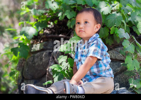 Adorabili ispanica giovane ragazzo seduto circondata da piante fissando lo sguardo fino al cielo cercando lonely, abbandonati o la speranza Foto Stock