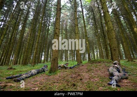 Soldati multinazionale di partecipare al combattimento tattico Casualty Cura medica di esercitazione, ospitato dall'International Special Training Center, Pfullendorf, Germania, 27 settembre, 2017. Esercizi di formazione come questo sono un prezioso metodo di rafforzare la NATO ha collaborato unite a mantenere una forte allied force contro la guerra globale al terrorismo. Foto Stock