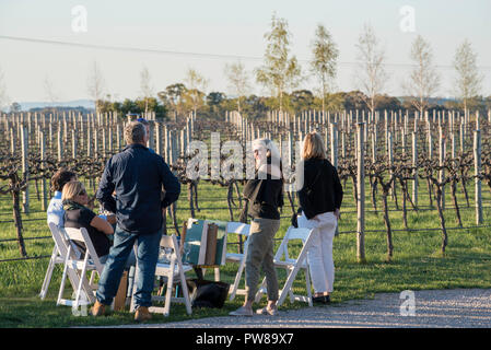 Persone con degustazione di vini e di parlare con il vigneron a Rowlee Azienda vinicola a Nashdale vicino a Orange in Central Western NSW, Australia Foto Stock