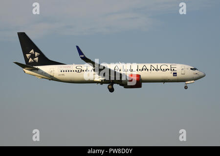 Scandinavian Airlines SAS Boeing 737-800 in Star Alliance in livrea con registrazione LN-RRL su corto finale per la pista 14 dell'aeroporto di Zurigo. Foto Stock