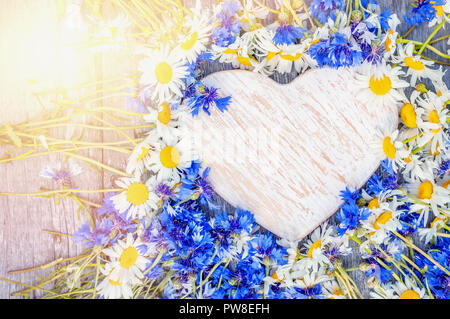 Fiori di campo e camomilla cornflowers sfondo con copia spazio per il testo in forma di cuore. Foto Stock