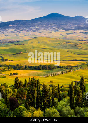 Incantevole paesaggio toscano, con colline e filari di cipressi Foto Stock