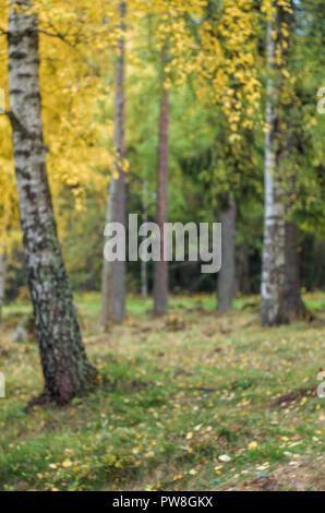 Sfondo Fuzzy- autunno paesaggio norvegese (foresta boreale con alberi di giallo). Foto Stock