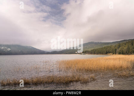 Lago Abant e natura Parco in inverno ma assenza di neve. Foto Stock