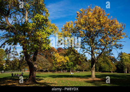 A Mülheim an der Ruhr, Germania. Il 13 ottobre 2018. Le persone godono di un autunnale di onda di calore nel Parco Witthausbusch. Il unseasonal calda e soleggiata ottobre meteo è destinato a durare per diversi giorni in più. Foto: Nord51/Alamy Live News Foto Stock