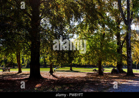 A Mülheim an der Ruhr, Germania. Il 13 ottobre 2018. Le persone godono di un autunnale di onda di calore nel Parco Witthausbusch. Il unseasonal calda e soleggiata ottobre meteo è destinato a durare per diversi giorni in più. Foto: Nord51/Alamy Live News Foto Stock