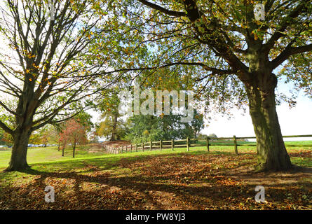 Ampthill, UK. 13 ottobre 2018. Autunno di sole e colori in Ampthill grande parco, Ampthill, Bedfordshire, Regno Unito il 13 ottobre 2018 Foto di Keith Mayhew Credito: KEITH MAYHEW/Alamy Live News Foto Stock